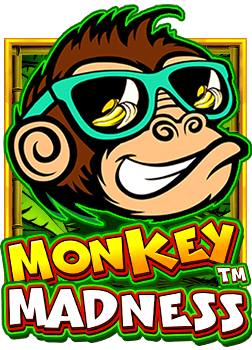 เกม เขย่า ไฮโล สุดมันส์กับสูตรเล่นให้รวย